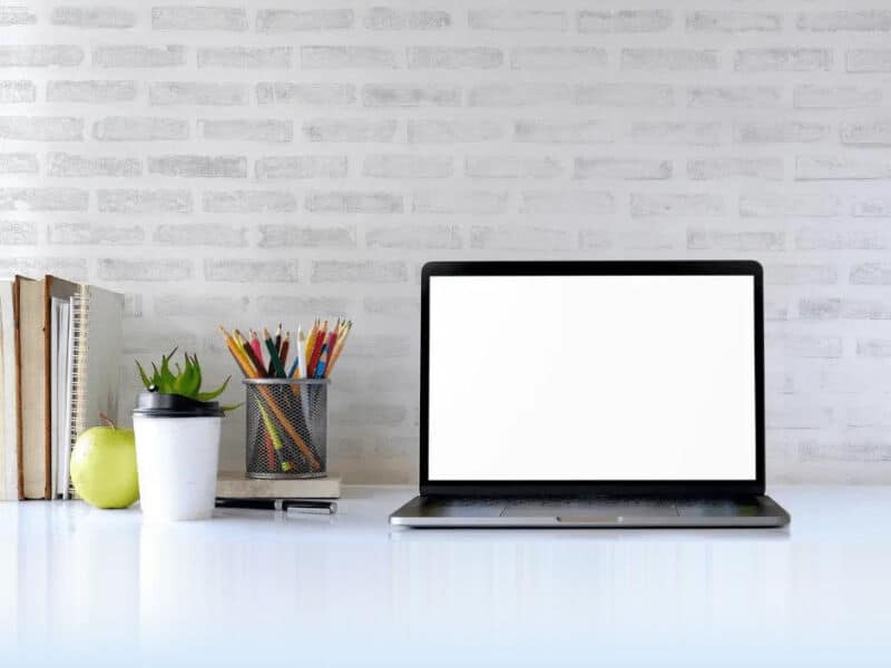 virtual assistant vs virtual business manager